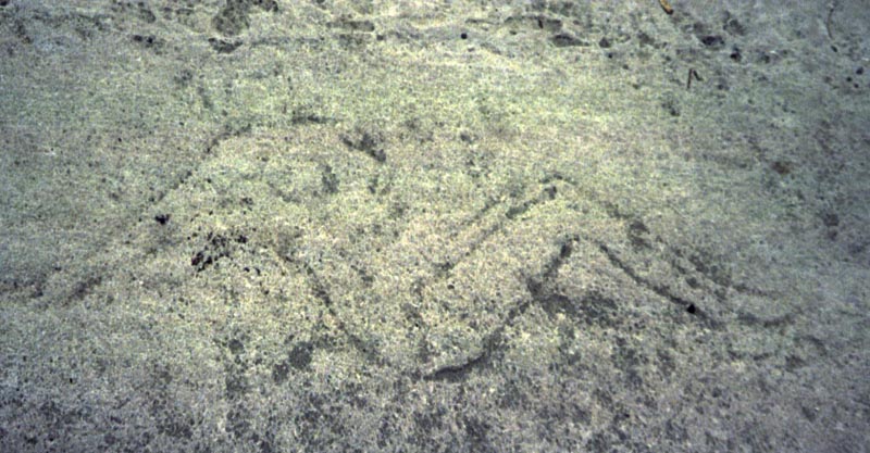 Lakeshore Carving: Bather