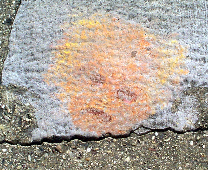 Lakefront carving: Fuzzy portrait