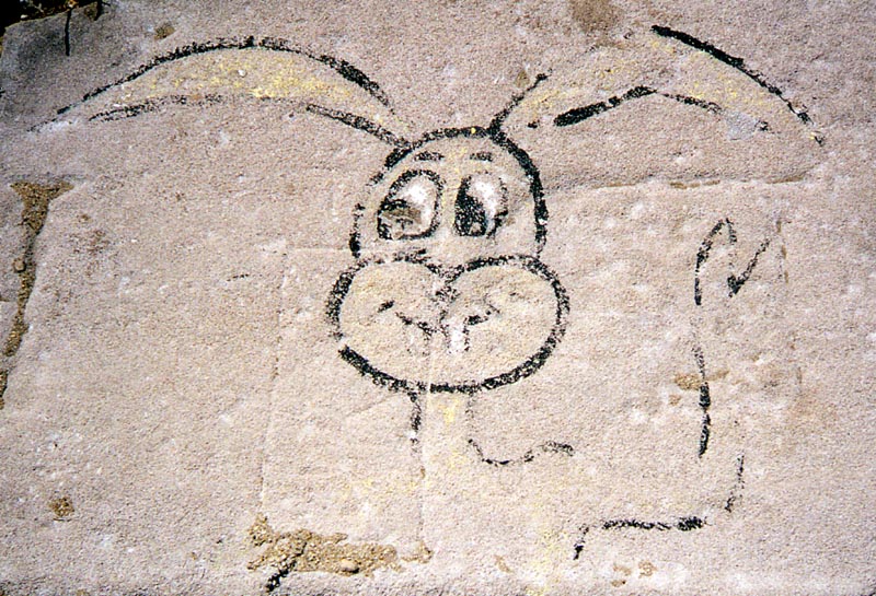 Rabbit