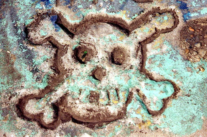 Skull