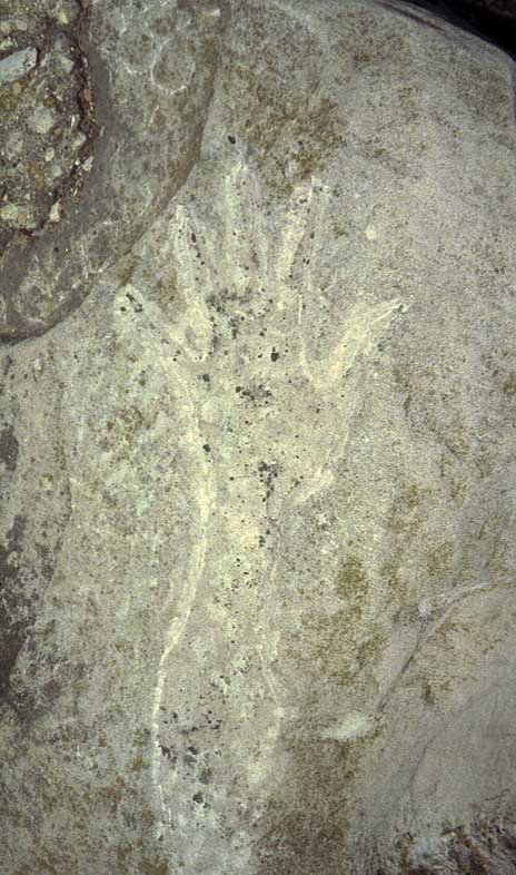 Hand