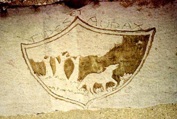 Wolf