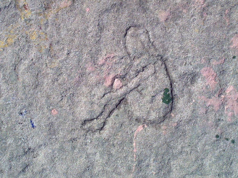 Lakeshore Carving: Bathing Beauty