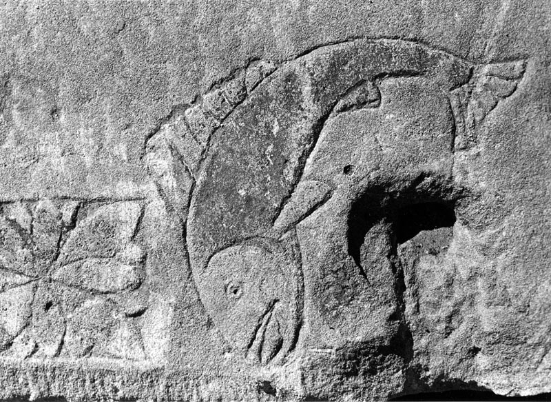 Leaping Fish