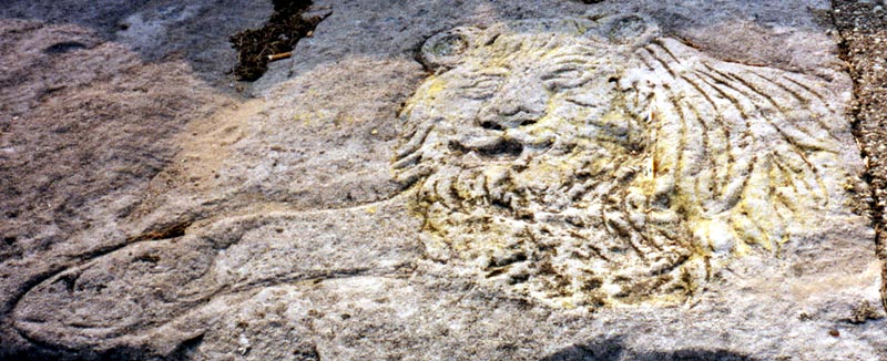 Lion