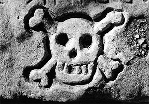 Lakeshore Carving: Skull