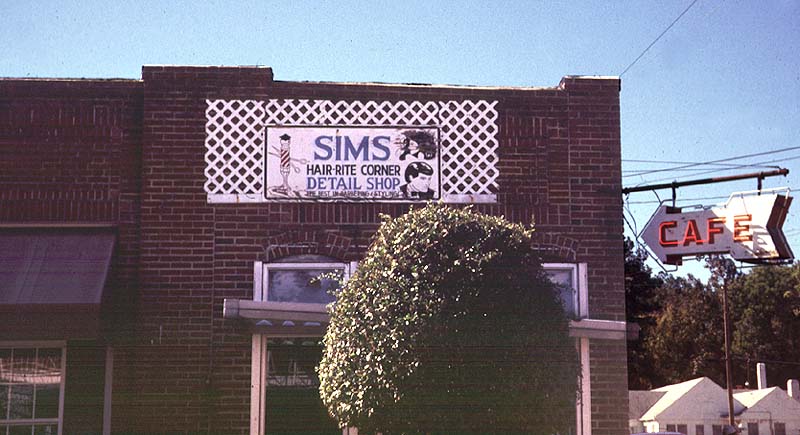 Sims