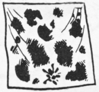 1965: Nancy\'s accidental napkin art