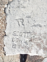 TR, i, Scott Don 81 (detail). Chicago lakefront stone carvings, Calumet Park. 2019