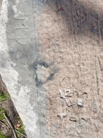 MD, Lena 4 Tom. Chicago lakefront stone carvings, Calumet Park. 2019