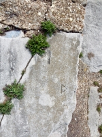 M, D. Chicago lakefront stone carvings, Calumet Park. 2019