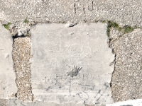 Earl, Ann, MP, BRU + AL, A, Mina, Fidi. Chicago lakefront stone carvings, Calumet Park. 2024