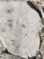 Dave with a flourish and others. Chicago lakefront stone carvings, Calumet Park. 2024