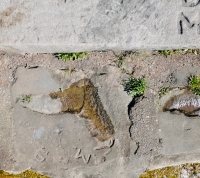 Dave, M., J, P.I., J.D., K.K. Chicago lakefront stone carvings, Calumet Park. 2020