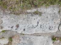 Lynn, B.F., Cindy A, others. Chicago lakefront stone carvings, Calumet Park. 2019