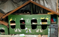 Cat lodgings, Istanbul