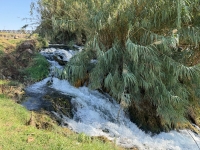 Lower Düden Falls, Antalya