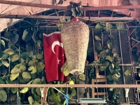 Sultan Döner Kebab House, Istanbul