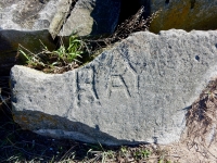 Ray. Chicago lakefront stone carvings, Rainbow Beach. 2019