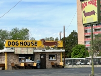 Dog House, Alburquerque, New Mexico. 2023