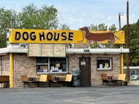 Dog House, Alburquerque, New Mexico. 2023