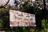 Put Our Foot In Your Mouths, Coney Island Drive Inn, Route 98, Brooksville, Florida. c. 1995